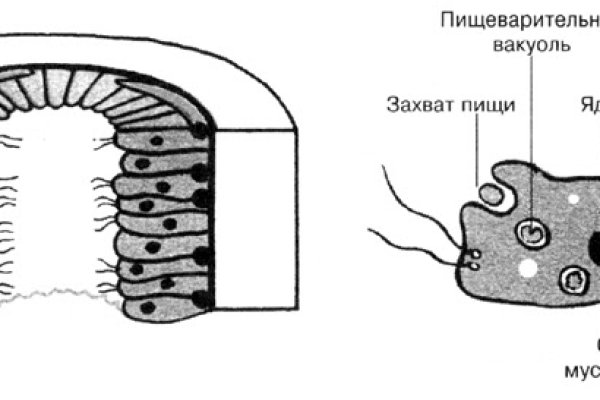 Кракен сообщество
