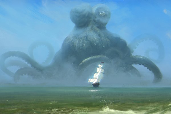 Кракен маркет whitenet
