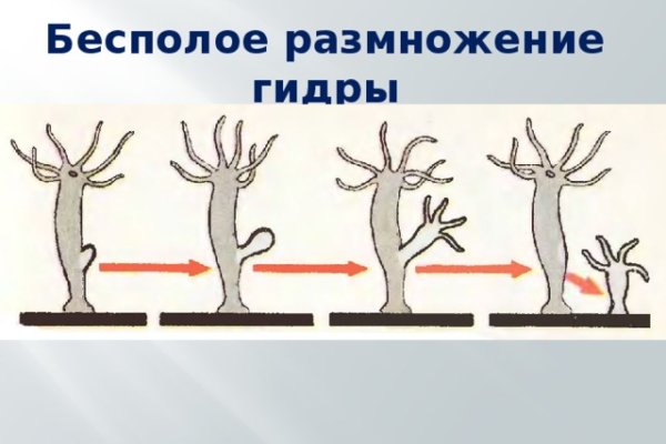 Как вернуть аккаунт кракен