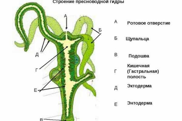 Ссылки на супернет сайты