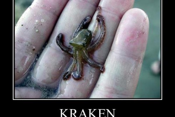 Ссылки на кракен мегу