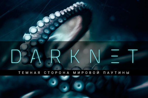 Что за приложение кракен