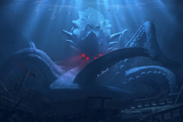 Kraken whitenet tor