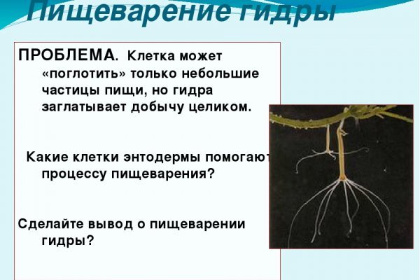 Кракен сайт работает