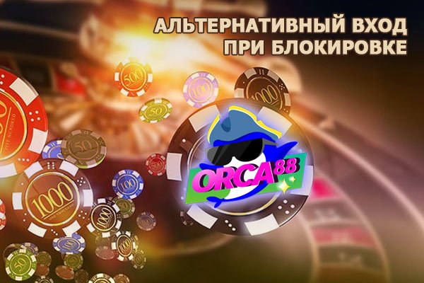 Whitenet как войти