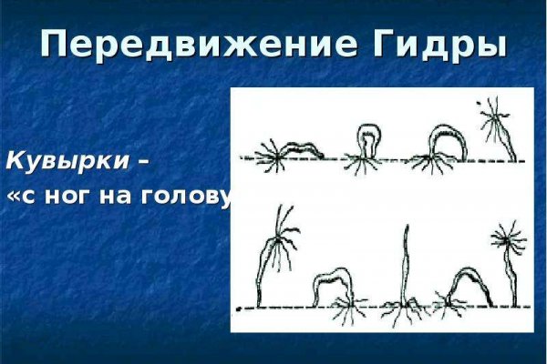 Kraken супернет рынок ссылка