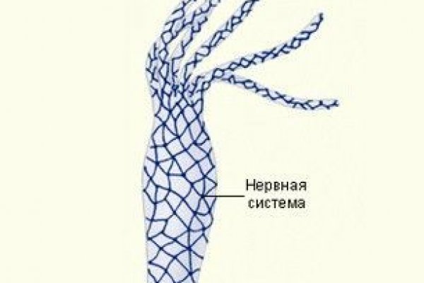 Кракен ссылка онлайн